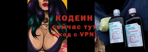 амф Дмитров