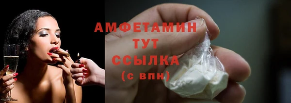 амф Дмитров