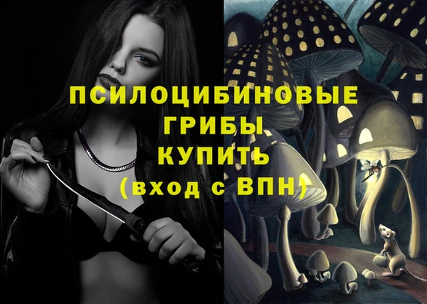 герыч Дмитриев
